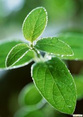 三種人流醫(yī)院病人要區(qū)別治療